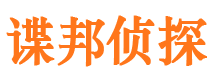 泰山市场调查